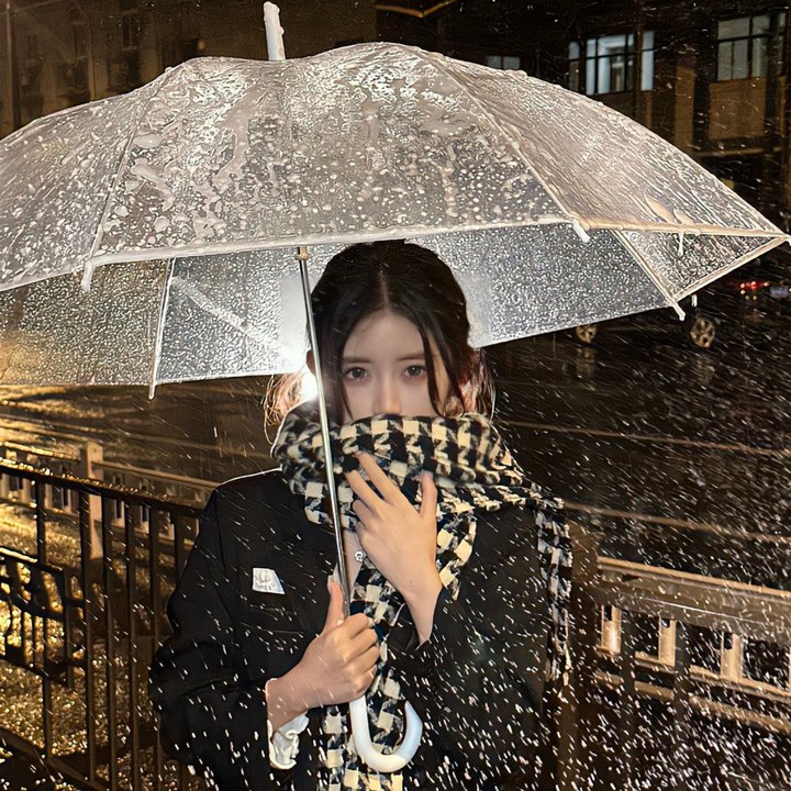 西鹤一代女